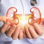 kidney's health