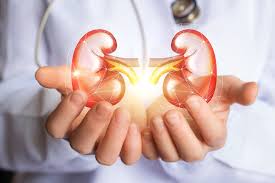 kidney's health